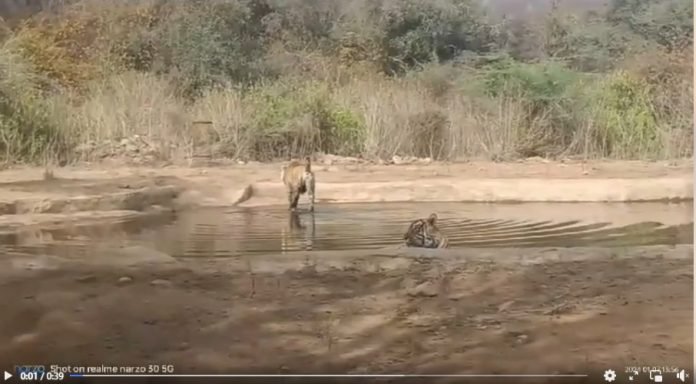 Screenshot 2024-06-14 113258