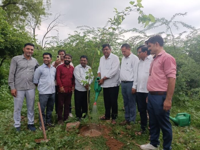 311 message of environmental protection