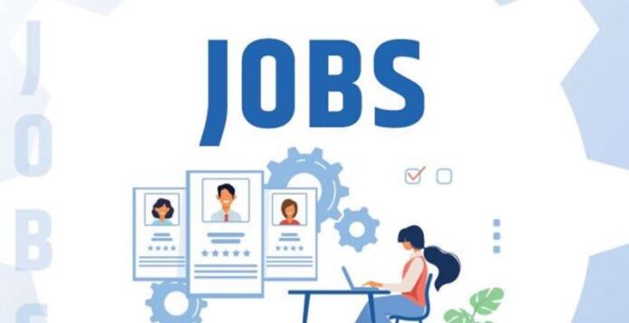 अलवर जिला परिषद भर्ती फर्जीवाड़ा 2025