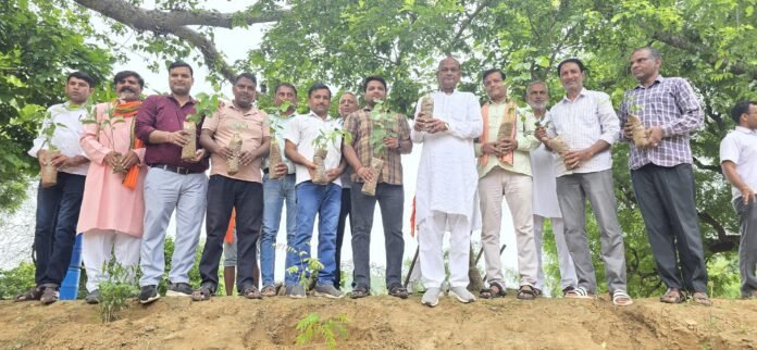 0552 Programs held under Hariyalo Rajasthan