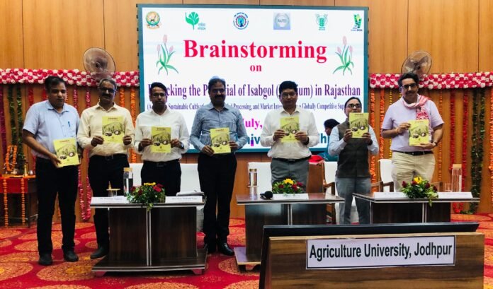 100 India has a monopoly in Isabgol production, especially in the western part of Rajasthan which accounts for 97% of its production