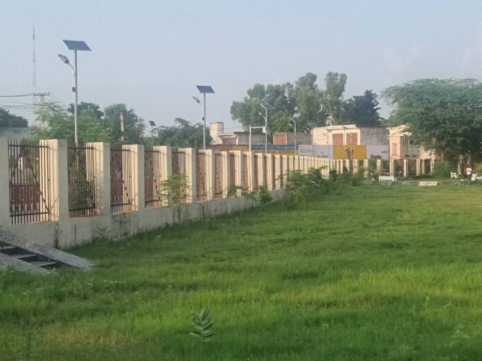 50,000 saplings in Bhiwadi Nagar Forest, Van Mahotsav to be held on Hariyali Teej