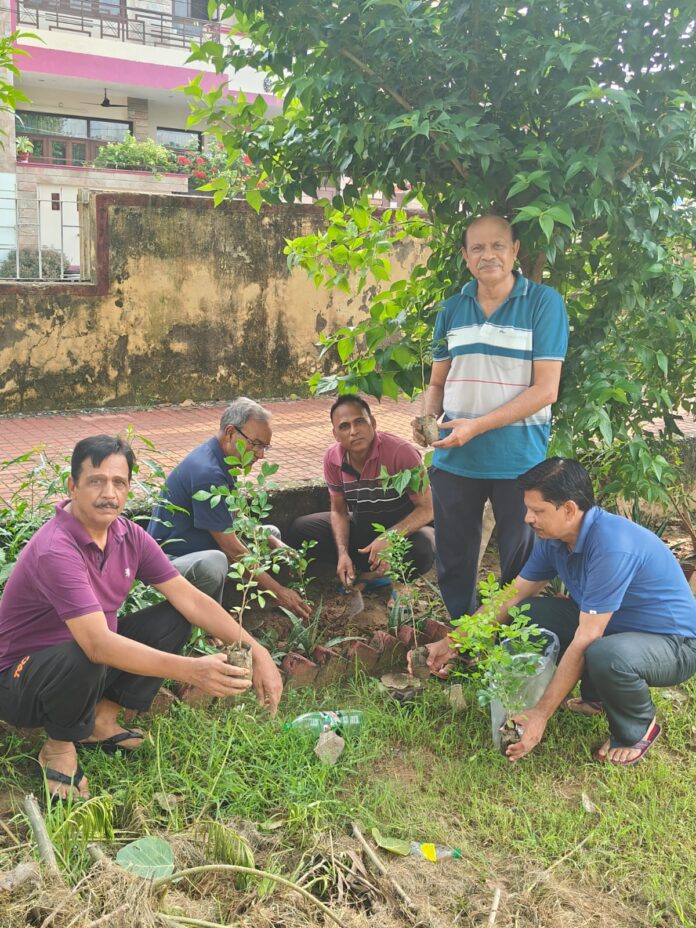 Planted various types of fruit, shady and medicinal plants.