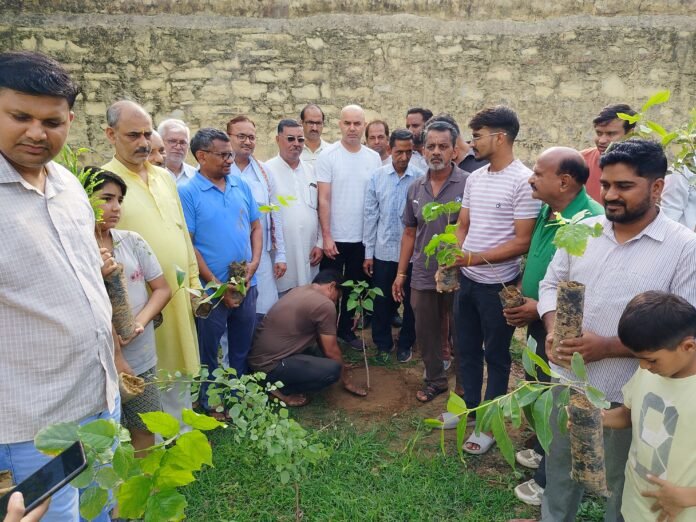 666 tree plantation program organized
