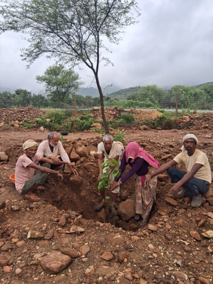 कन्या उद्यान