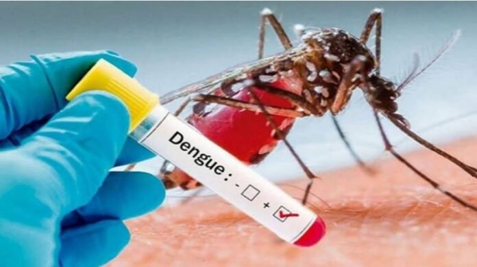 dengue-1-1.jpg