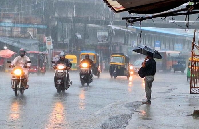 barish-1.jpg