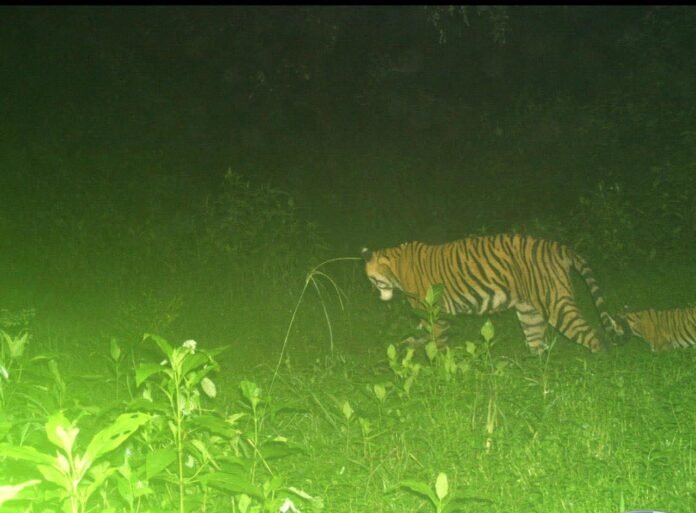 सरिस्का