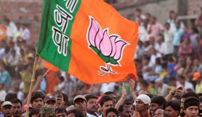 bjp11.jpg