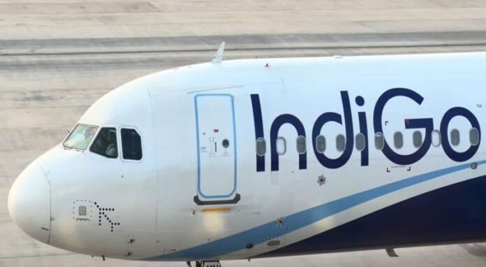 indigo_12.jpg