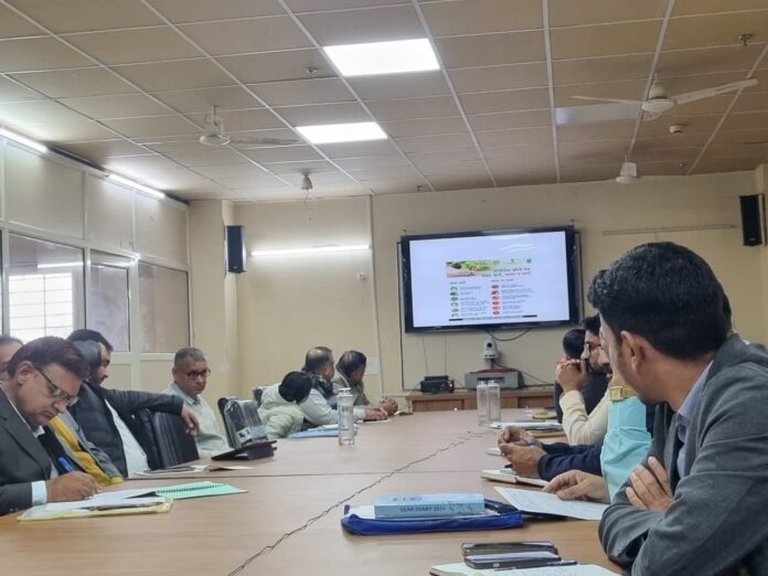 जिला कलेक्टर