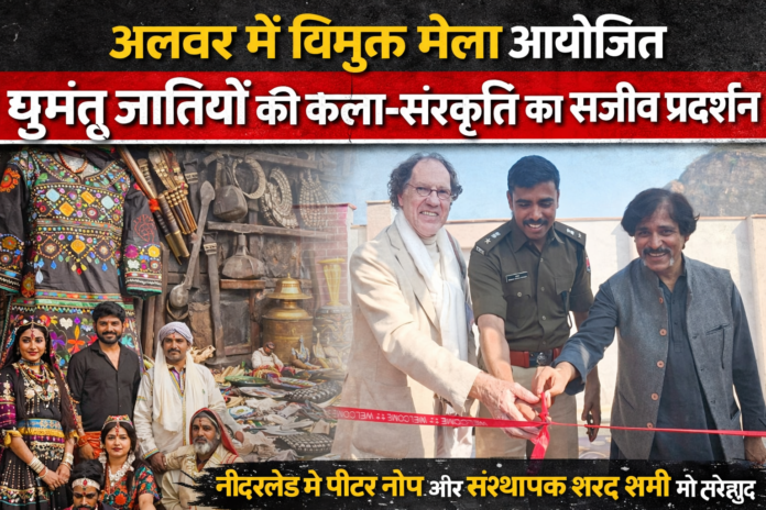 अलवर में मेला