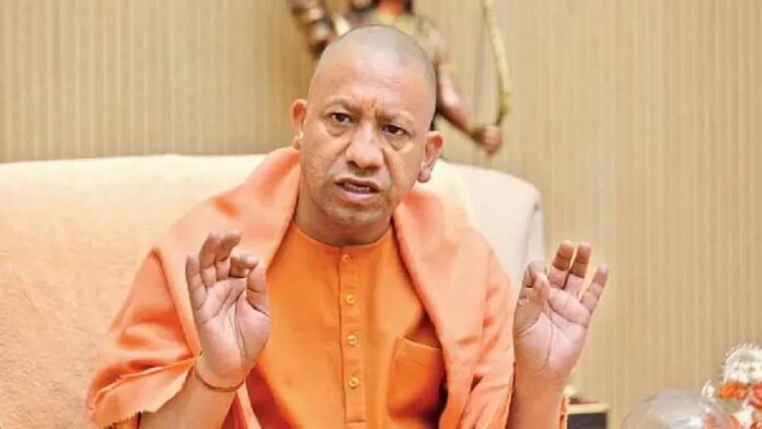 cm-yogi.jpg