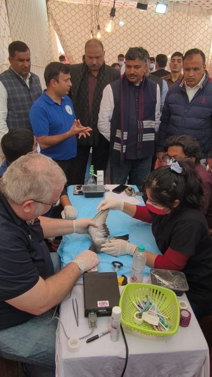 टीकाराम जूली