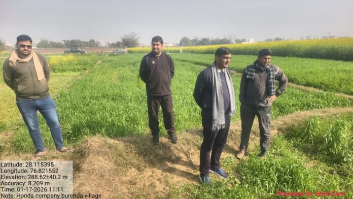 पेंथर की तलाश करती वन विभाग की टीम