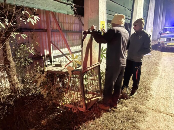 वन विभाग की टीम टॉर्च और ट्रैप कैमरे लगाती हुई,