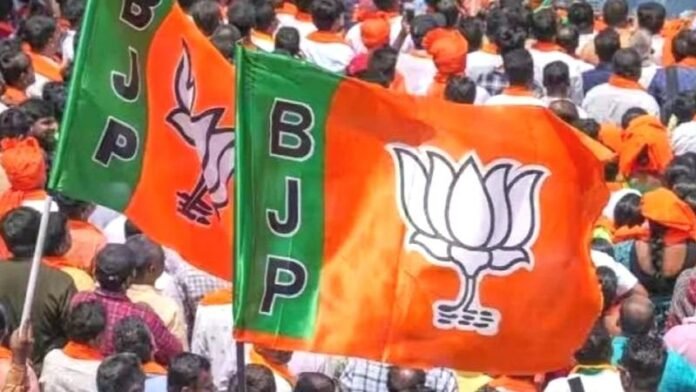 bjp-6.jpg