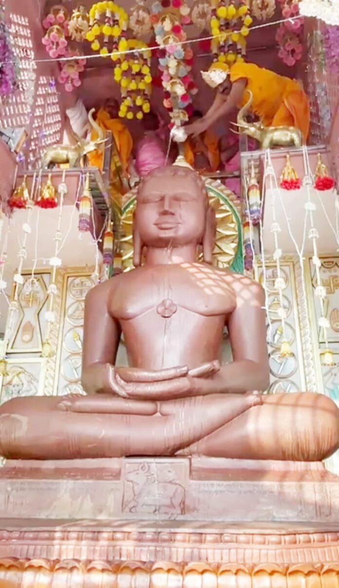 489 अहिंसा स्थल पर विराजमान भगवान आदिनाथ