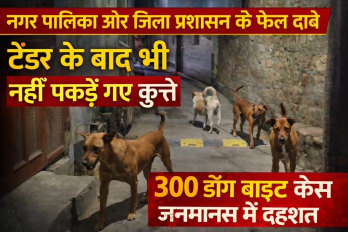 कुत्ते पकड़ोअभियान फेल