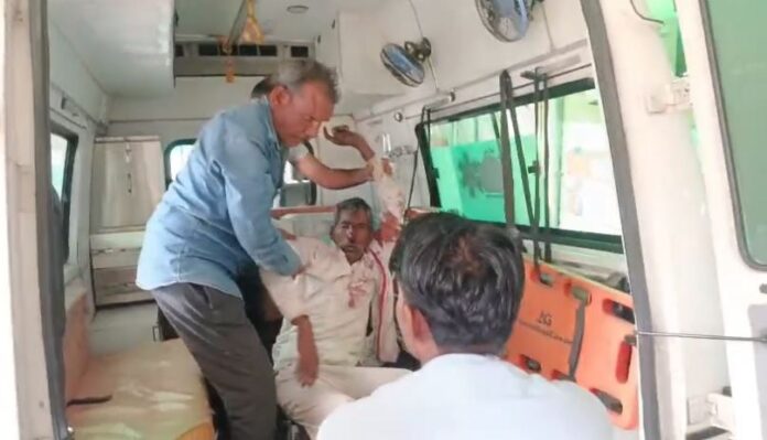 813 मधुमक्खियों के हमले में बुजुर्ग गंभीर घायल