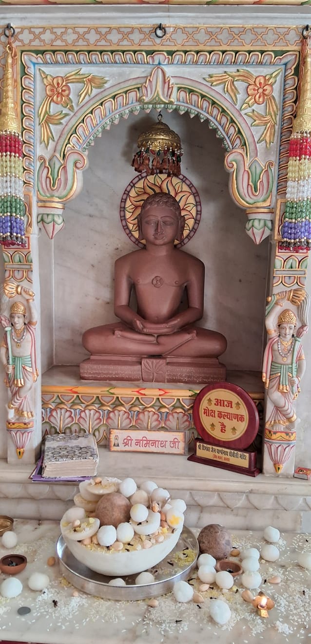 भगवान नमिनाथ को चढ़ाया गया निर्वाण का लाडू