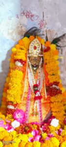 नरसिंह जन्मोत्सव श्रद्धा और उत्साह के साथ मनाया