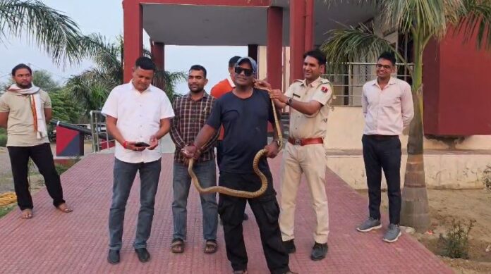 थाने में दिखा 8 फुट लंबा सांप