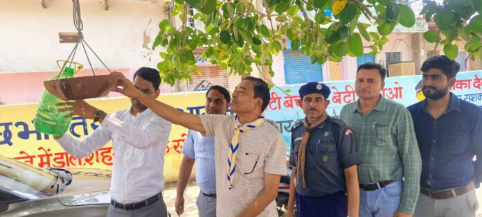कठूमर परिंदे अभियान
