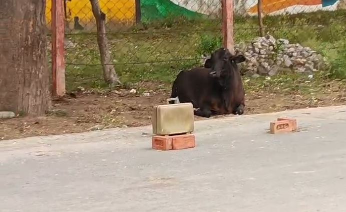 जय पलटन सैन्य क्षेत्र लावारिस बैग