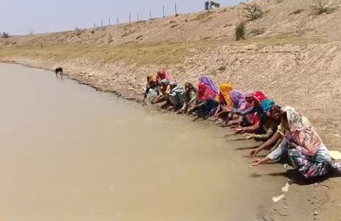 1656 वंदे गंगा अभियान अलवर