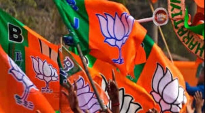 bjp-1-4.jpg