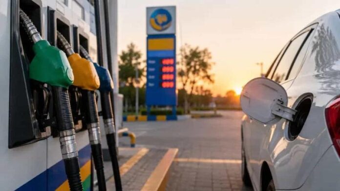 petrol-1-2.jpg