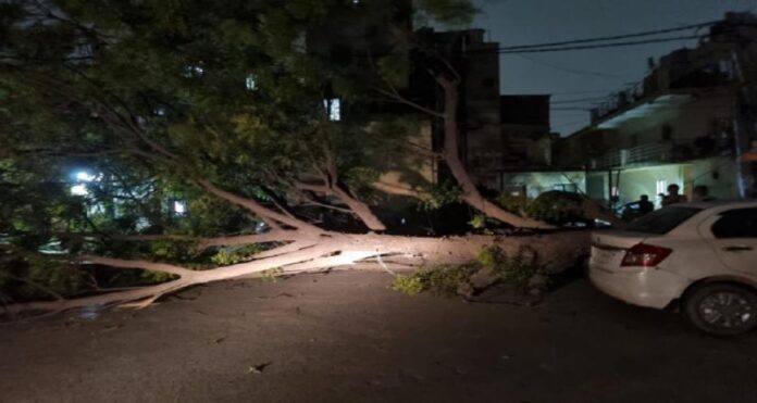 storm.jpg