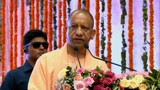 yogi-w-1765469270370_m.jpg