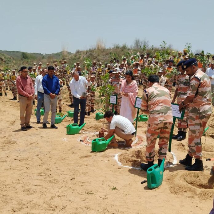 1794 हरियालो राजस्थान अभियान के तहत पौधारोपण किया