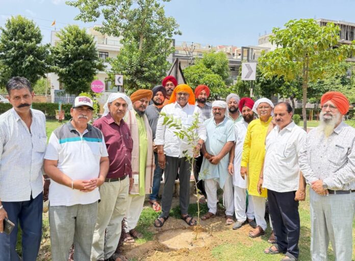संजय शर्मा ने किया पौधारोपण