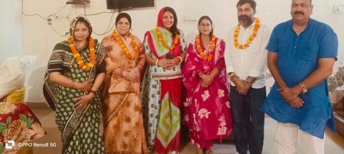 मानव अधिकार सामाजिक न्याय संगठन
