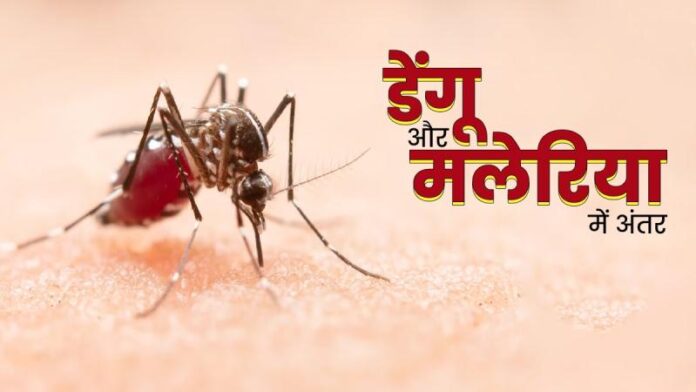 Difference-Between-Dengue-and-Ma.jpg