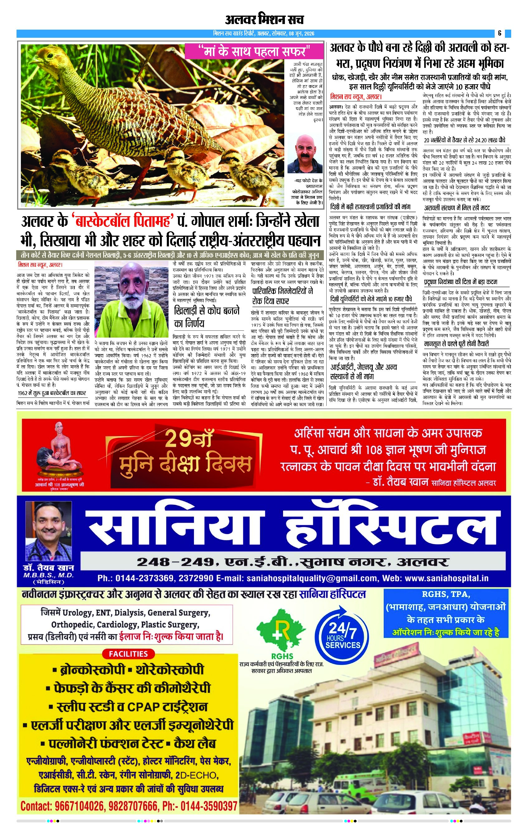 Page 6