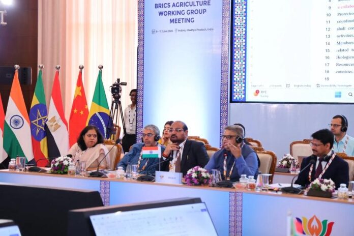 brics-2026-06-09-20-15-32.jpg