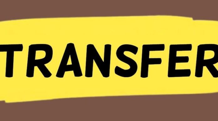 transfer_2-1.jpg