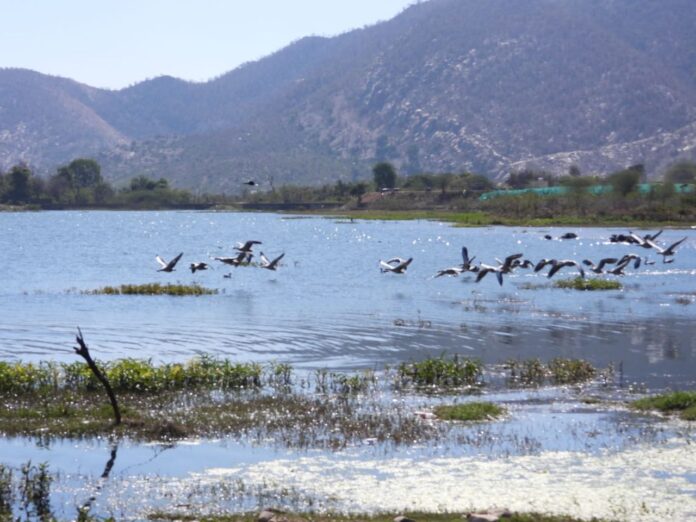 2059 सीलिसेढ़ हमारी पहचान