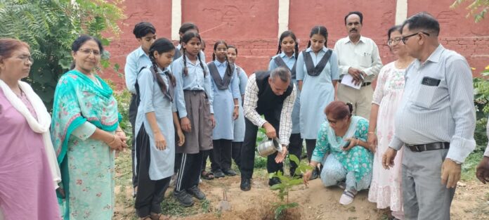 215 जिला विधिक सेवा प्राधिकरण पौधारोपण