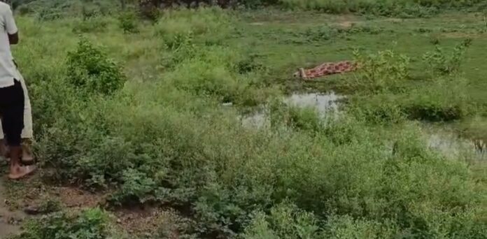थानागाजी युवक शव