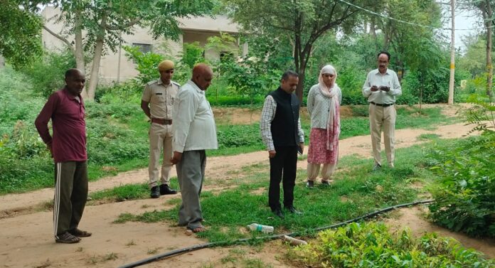 खैरथल राजकीय पौधशाला निरीक्षण