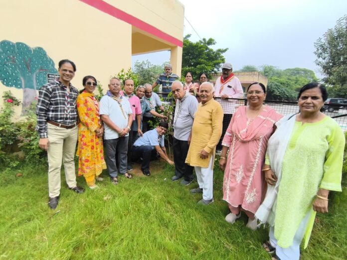 स्कूल में पौधारोपण