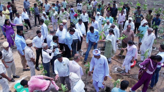 2247 हरियालो राजस्थान अभियान