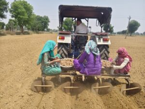 हल्दी की खेती
