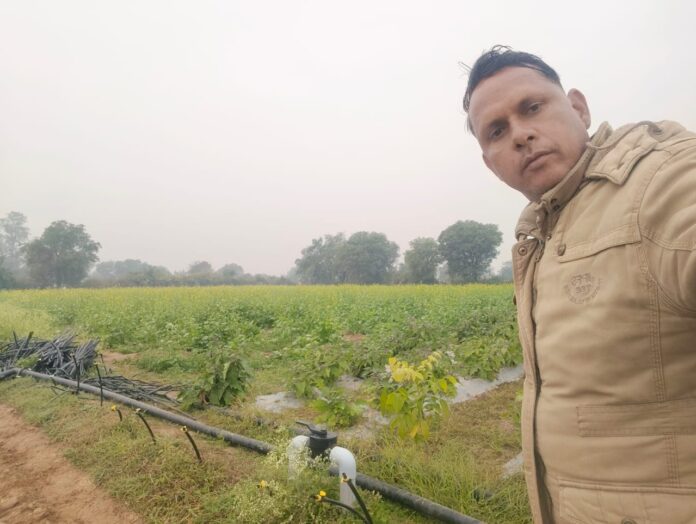 2282 हल्दी की खेती