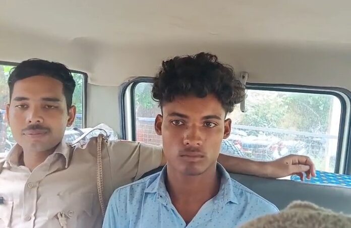 367 अलवर अवैध बजरी परिवहन